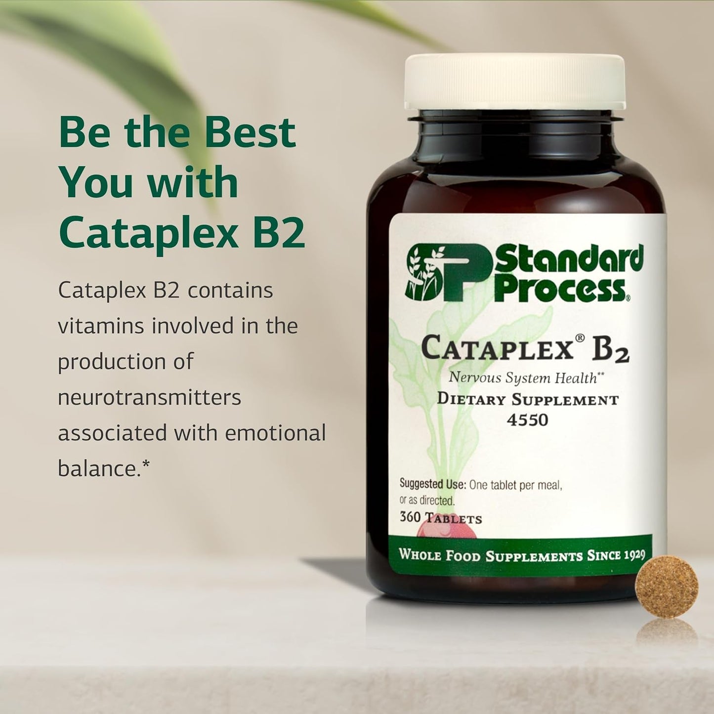 Standard Process Cataplex B2 - Nervous System Support Supplement - 360 Tablets - görsel 3