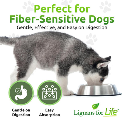 HMR Lignans 10mg Capsules for Dogs – Adrenal Support & Wellness Supplement