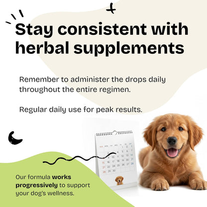 Forever Puppy Astragalus Root Drops for Dogs - Immune Support - 118 ml