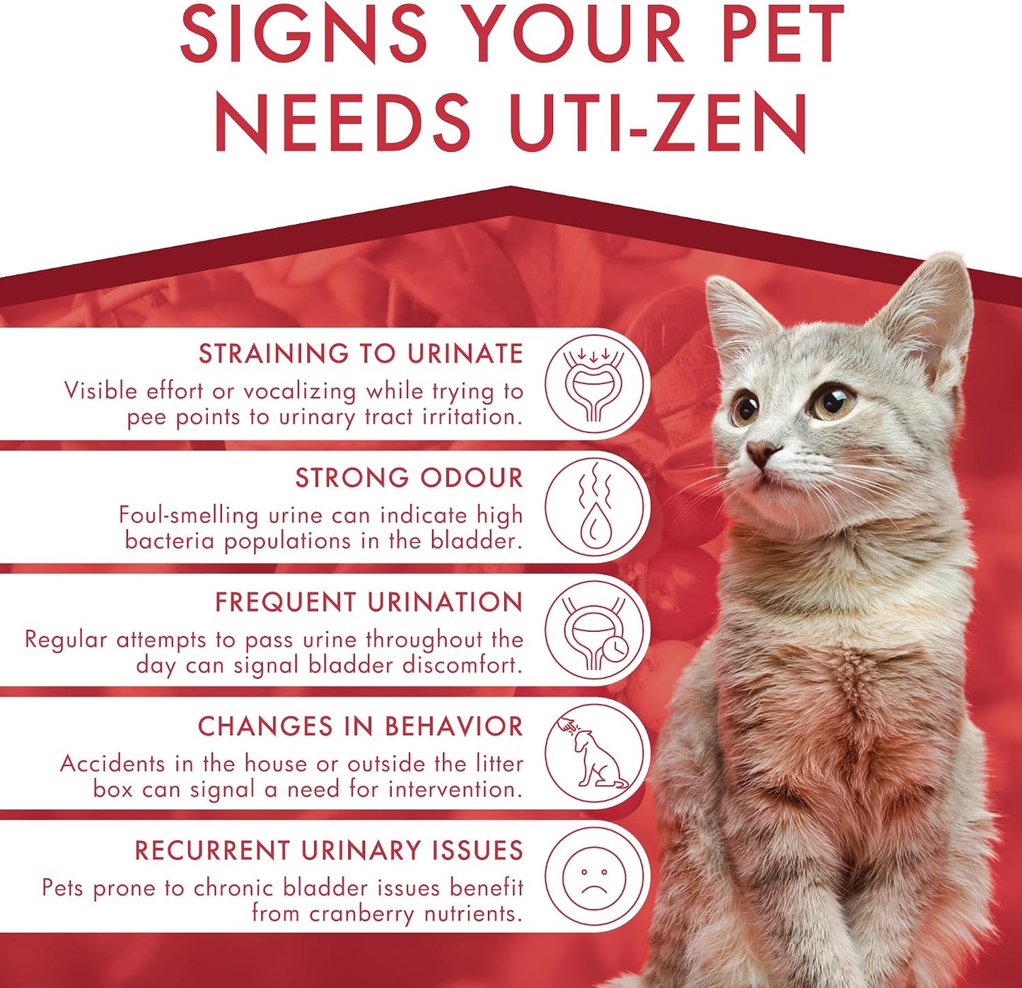 Dermoscent UTI-Zen Cranberry Tablets for Dogs and Cats Food Supplement for Bladder, Kidney & Urinary Tract Health Chicken Flavour - 30 Tablets - görsel 6