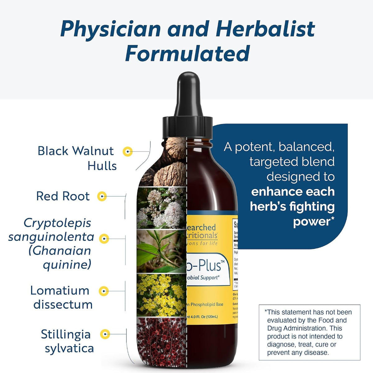 Researched Nutritionals Crypto-Plus - Targeted Microbial & Immune Support Formula with Red Root, Black Walnut Extract and Phospholipid Delivery (118 ml) - görsel 4