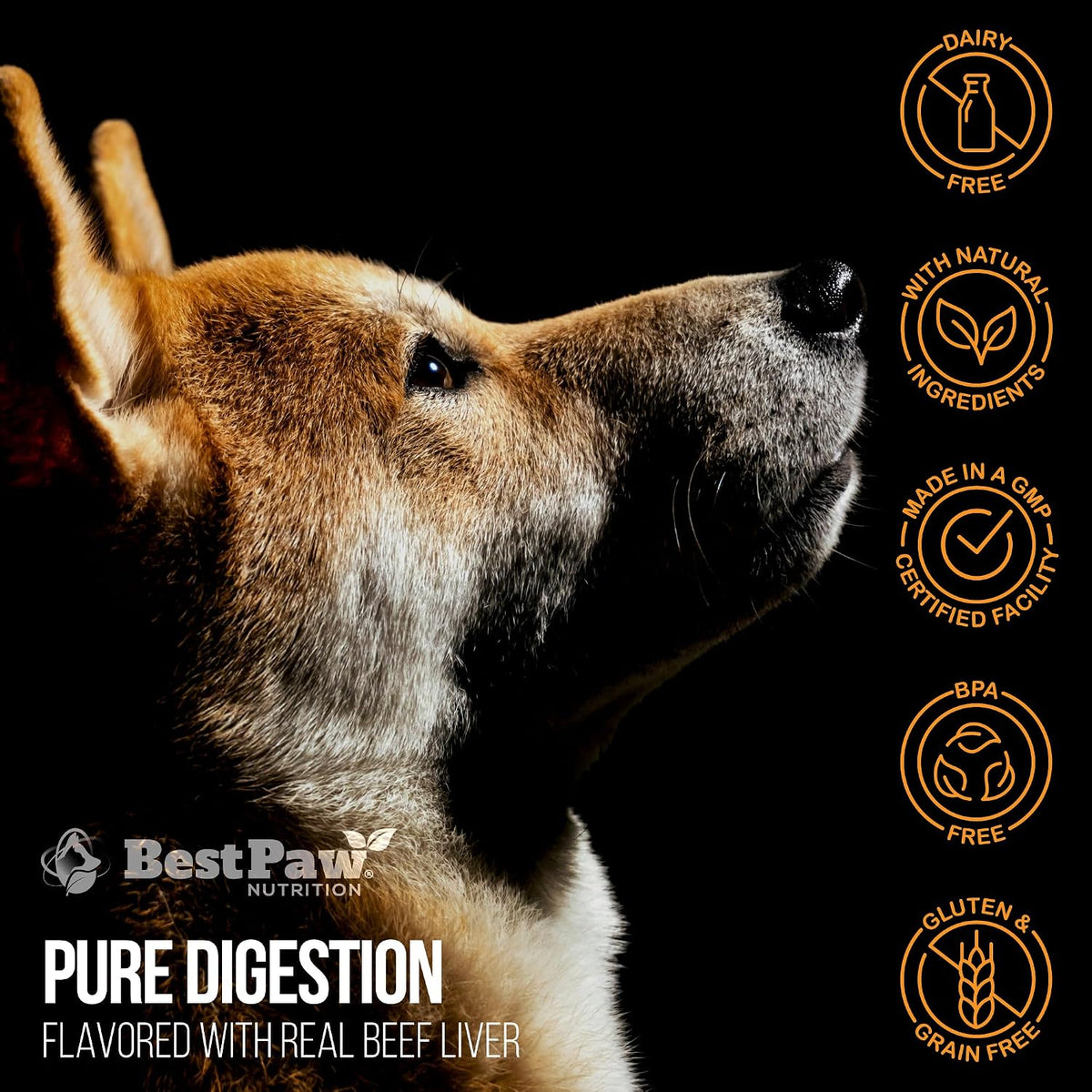 Best Paw Nutrition Probiotics for Dogs – Digestive Enzymes & Probiotics Powder - görsel 10