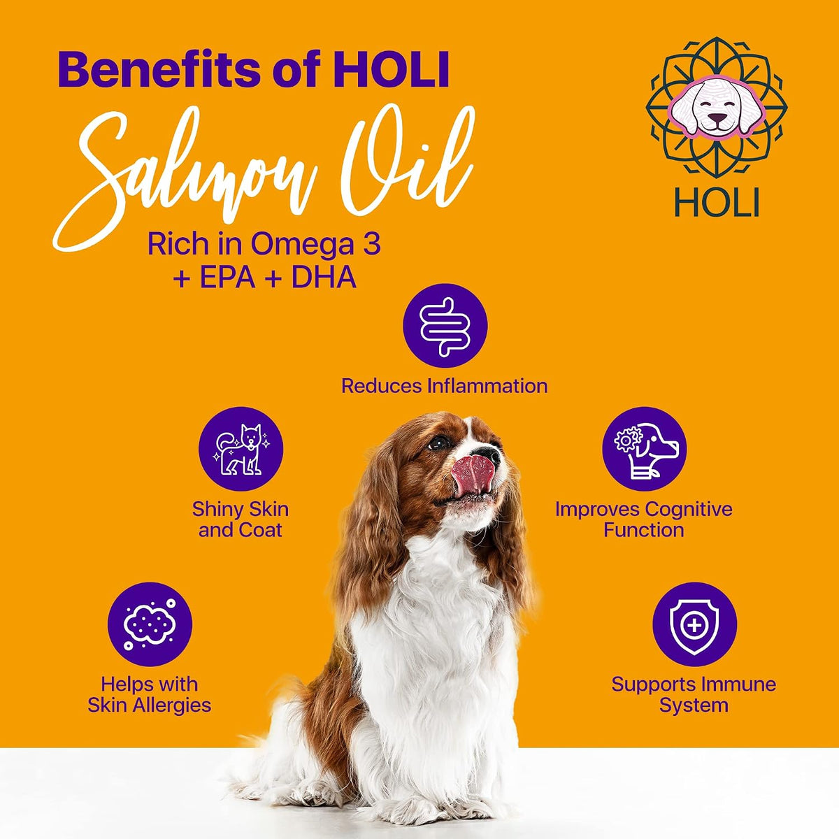 HOLI Salmon Oil for Dogs and Cats – Icelandic Fish Oil, Omega-3 EPA + DHA, Liquid Supplement - görsel 4