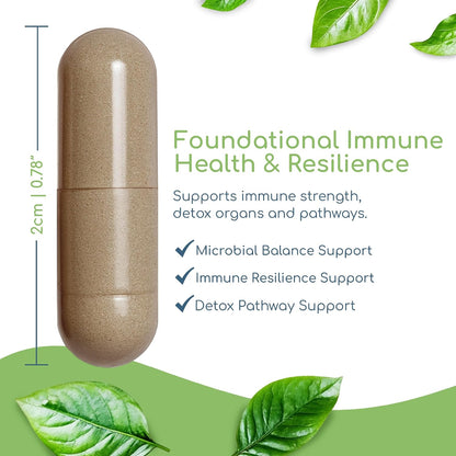 Cryptolepis Synergy – Immune Support Food Supplement, 120 Capsules