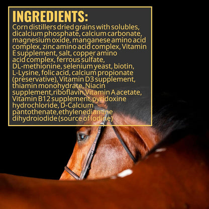 Adeptus Nutrition Augment Vitamin & Mineral Balancer for Horses