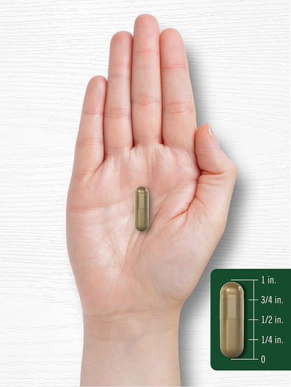 Carlyle Yellow Dock Root Capsules - 200 Count | High Strength, Non-GMO, Gluten-free