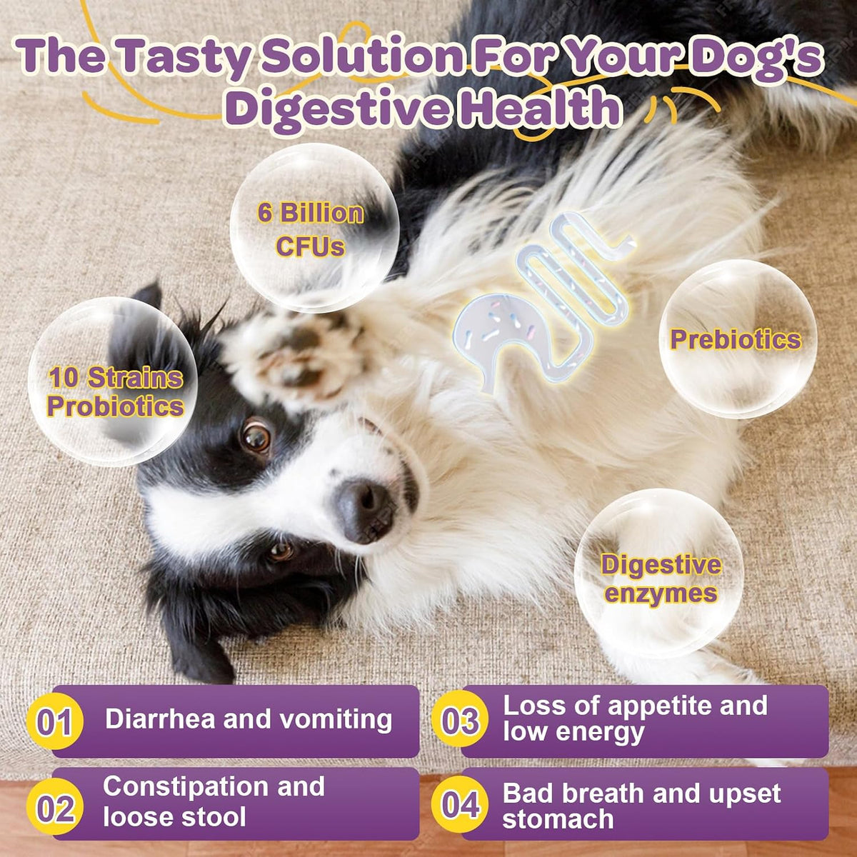 Probiotics for Dogs – 6 Billion CFUs & 10 Strains with Prebiotics, Omega-3, Digestive Enzymes & Multivitamins, Dog Probiotics for Digestive Health, Immune Support, Skin & Coat, 120 Duck Flavour Chews - görsel 4