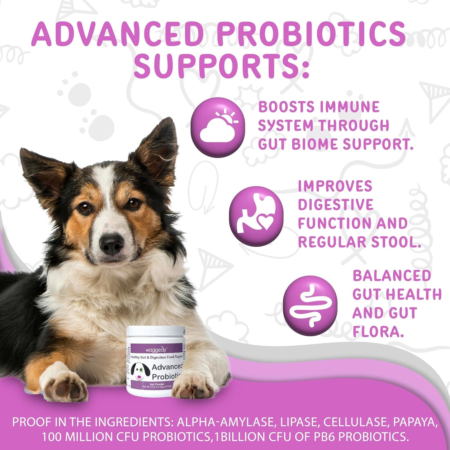 Waggedy Advanced Dog Probiotics Gut and Digestion Food Topper – Probiotic Powder with Digestive Enzymes & Papaya – Gentle Probiotics for Dogs 6+ Weeks – Supports Gut Balance, Comfort & Immune Health - görsel 2
