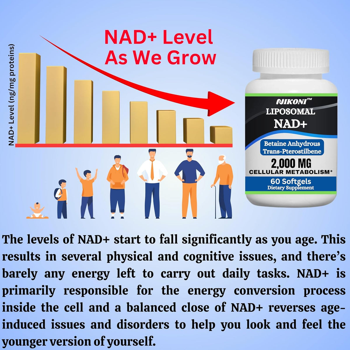 Nikoni Liposomal NAD+ 2000 mg with TMG and Pterostilbene – Healthy Ageing Support – 240 Soft gel capsules - görsel 6