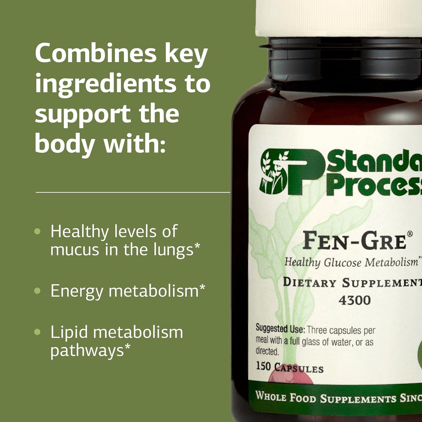 Standard Process Fen-Gre - Fenugreek Supplement for Respiratory and Metabolic Support - görsel 4