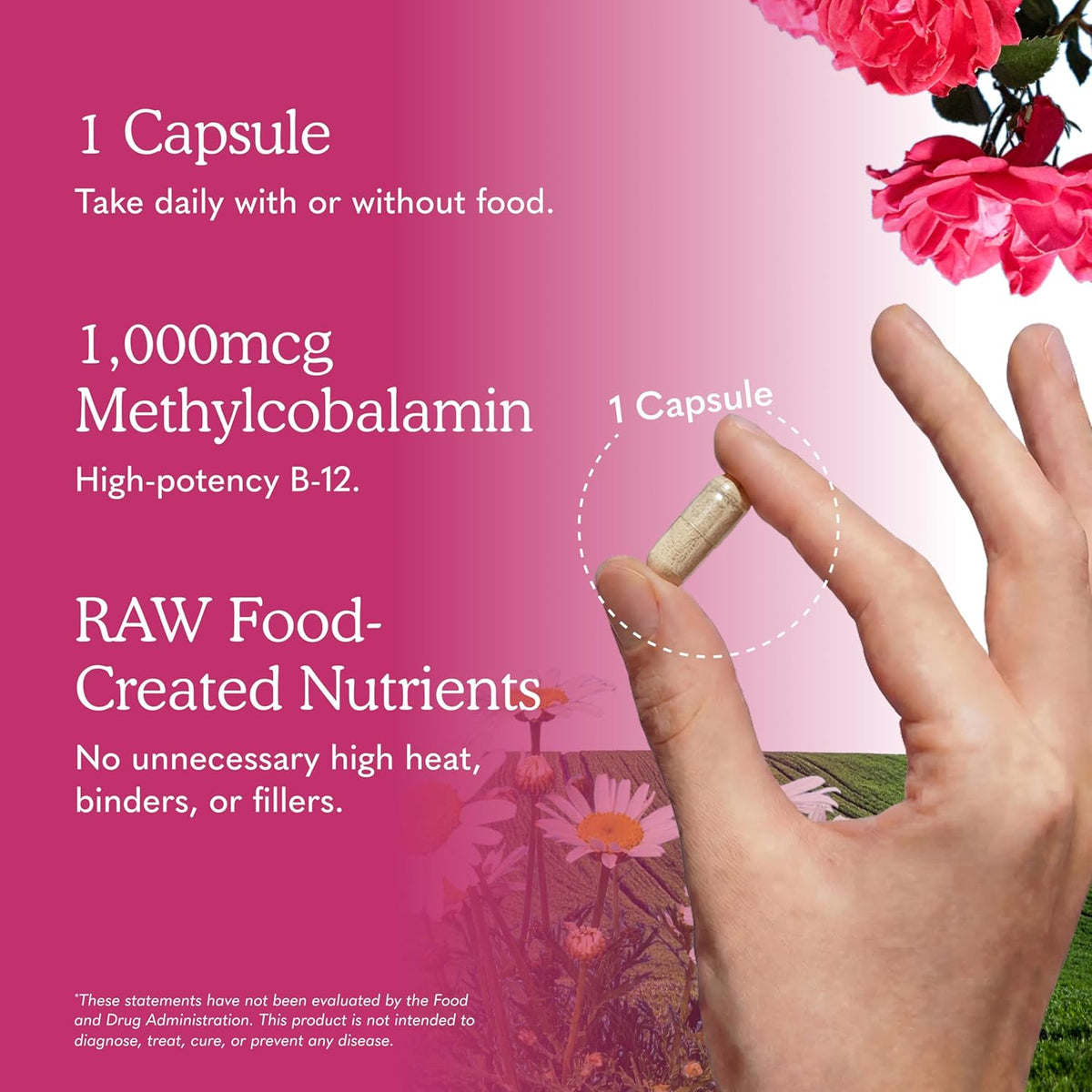 Garden of Life Vitamin Code Raw B-12 - 1000mcg Methylcobalamin - 30 Capsules - görsel 5