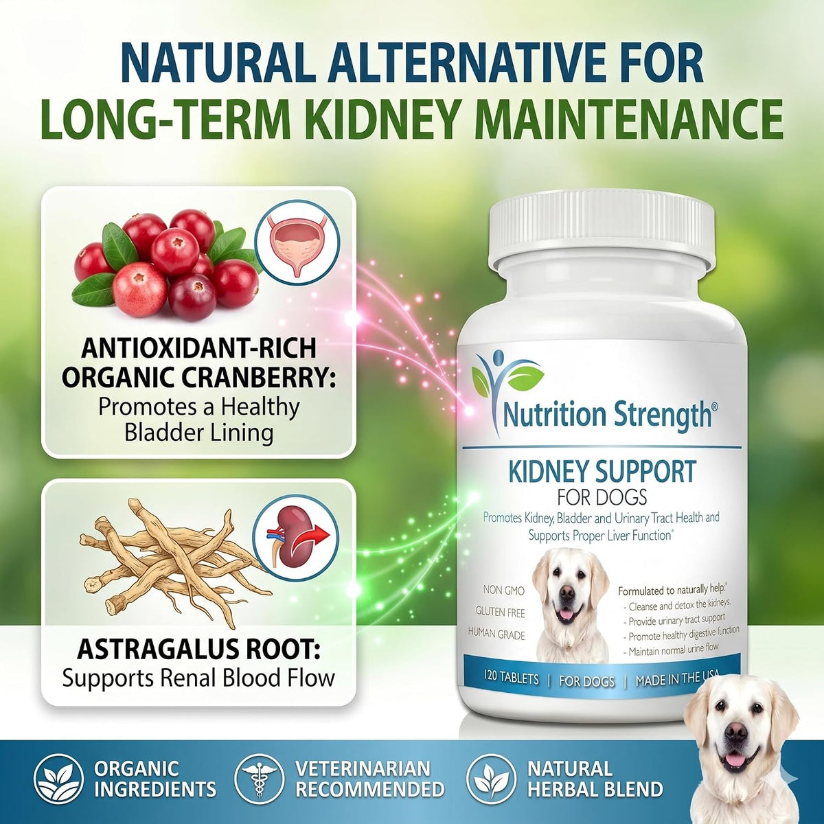 Kidney Support for Dogs – Organic Cranberry & Astragalus – Renal, Bladder & Urinary Tract Health Supplement – 120 Chewable Tablets - görsel 2