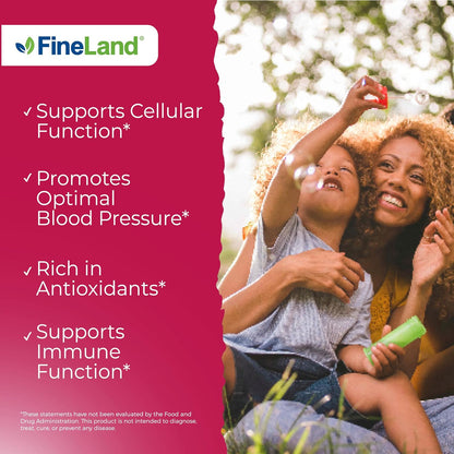 FineLand Pomegranate Extract 20:1 - 40% Ellagic Acid - Antioxidant Supplement - 120 Vegan Capsules