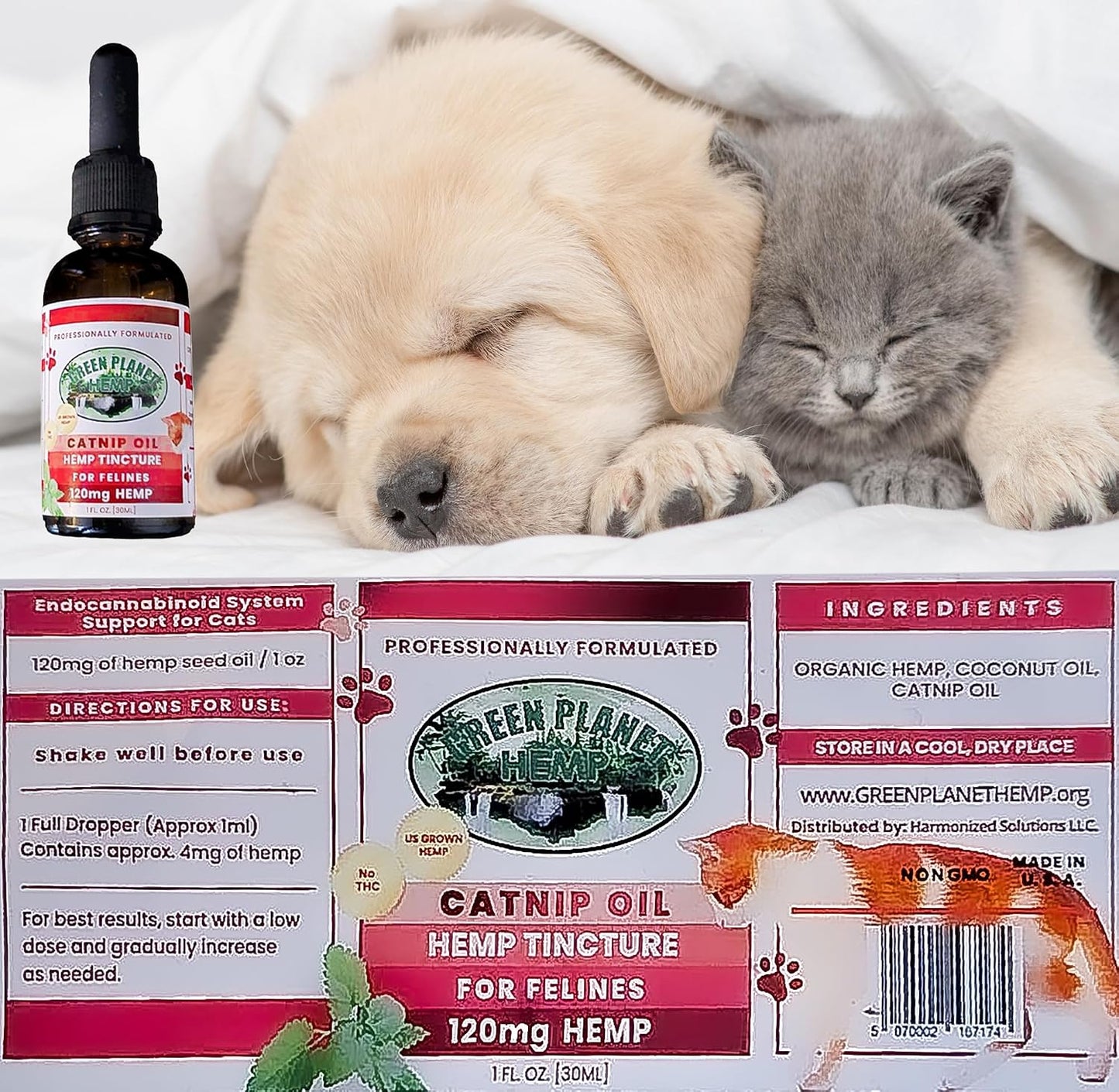 Pet Hemp Oil with Catnip – Organic Hemp Tincture for Dogs and Cats - görsel 6