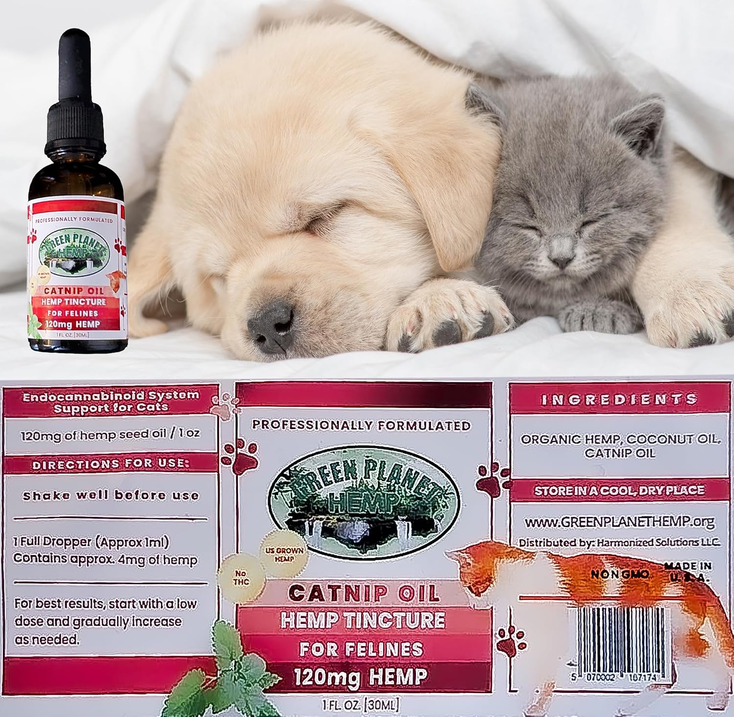 Pet Hemp Oil with Catnip – Organic Hemp Tincture for Dogs and Cats - görsel 6