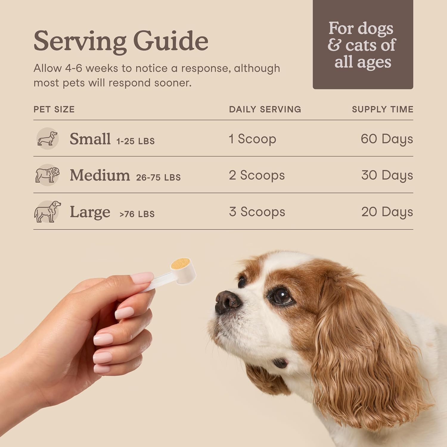 Fera Pets Cat & Dog Liver Support Powder with Milk Thistle – 60 Scoops - görsel 4