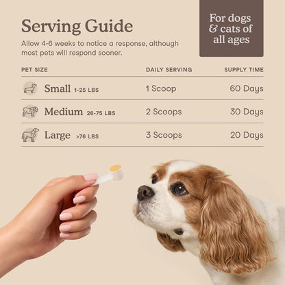 Fera Pets Cat & Dog Liver Support Powder with Milk Thistle – 60 Scoops