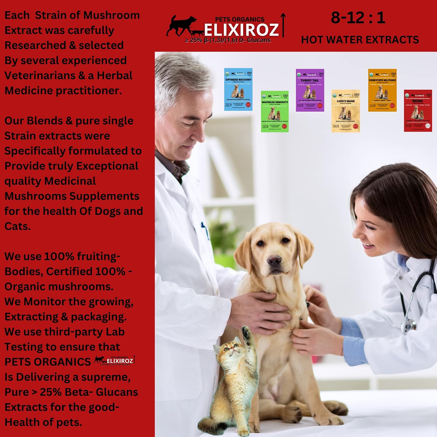 Reishi Mushroom Extract for Dogs & Cats – 35%+ Beta Glucans – Fruiting Body (8:1–12:1 Concentrated) – Immune Support, Calming & Relaxation – No Fillers – 250 Servings - görsel 7