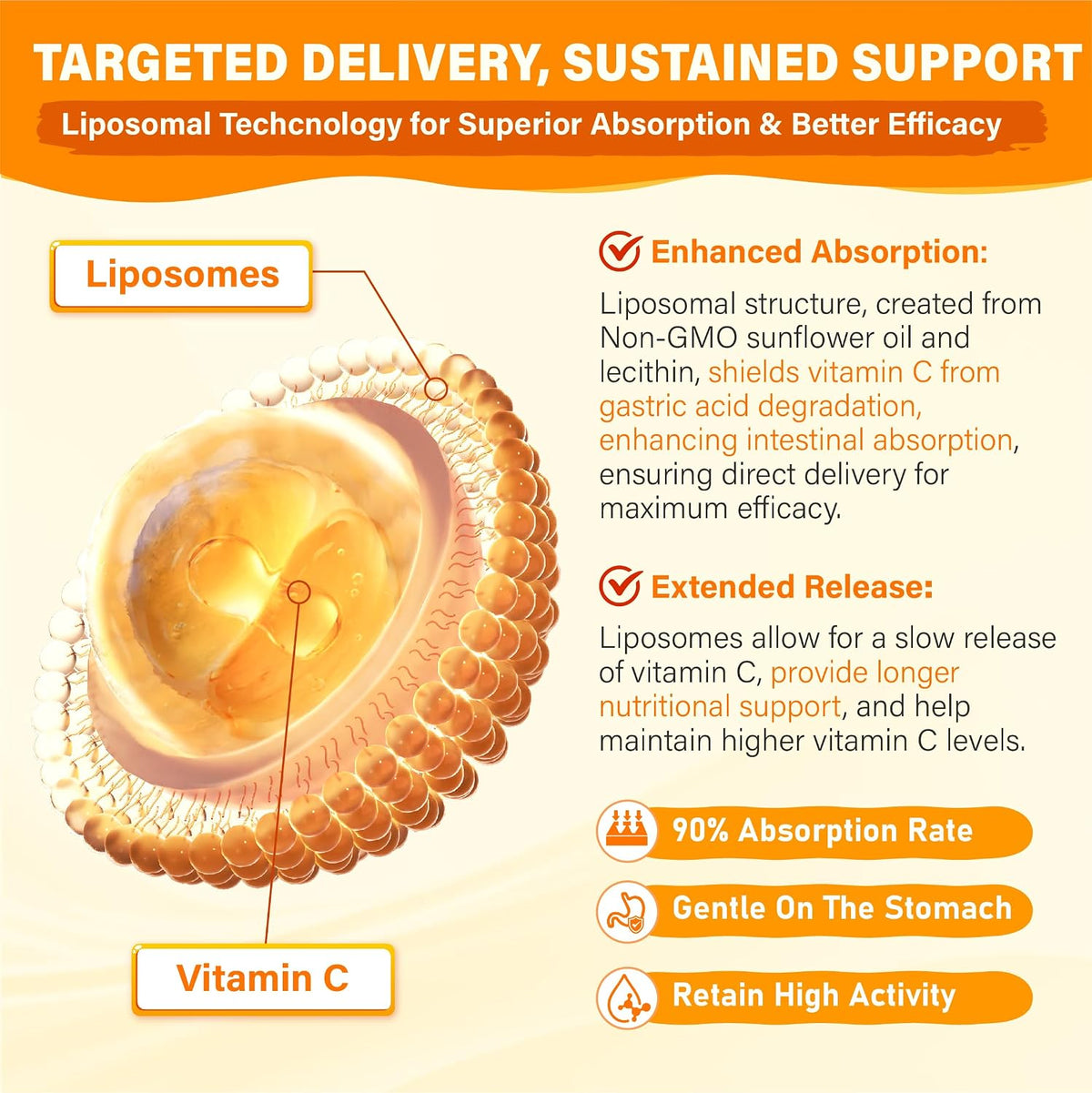 Liposomal Vitamin C Gummies 1000mg for Adults: Vitamin C Chewy Gummy with Zinc, Elderberry, Vitamins A & E - görsel 3