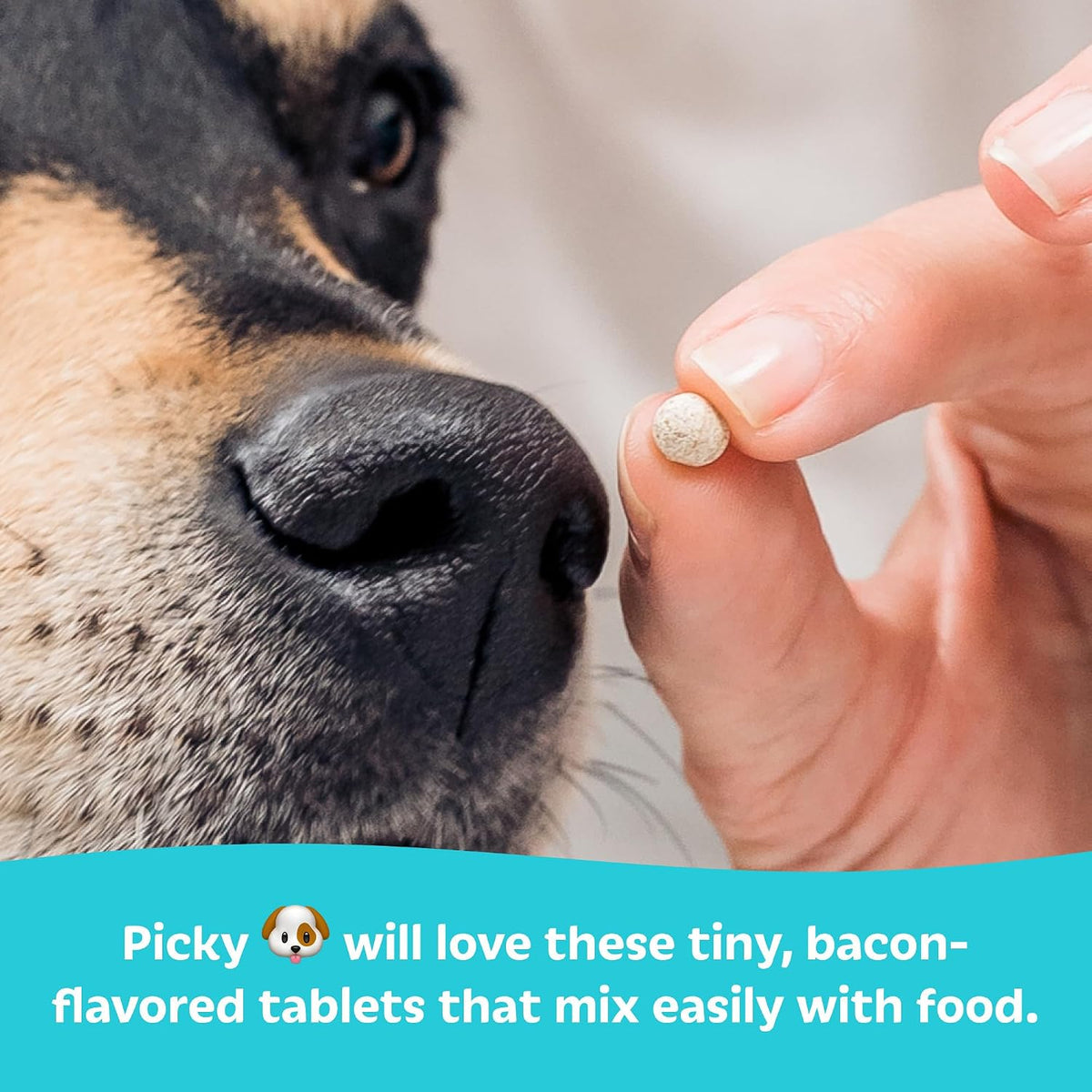Tails 'N' Tummies Probiotics for Dogs: 60 Tiny Tablets for Allergies, Itchy Skin, Diarrhoea & Digestive Relief - görsel 5