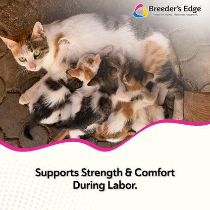 Breeder's Edge Oral Cal Plus Gel – Calcium Supplement for Dogs and Cats in Labour, 15ml Paste