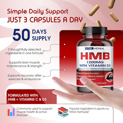 VITAL HERBAL Liposomal HMB with Vitamin D3 – Maximum Potency – Muscle Support Formula