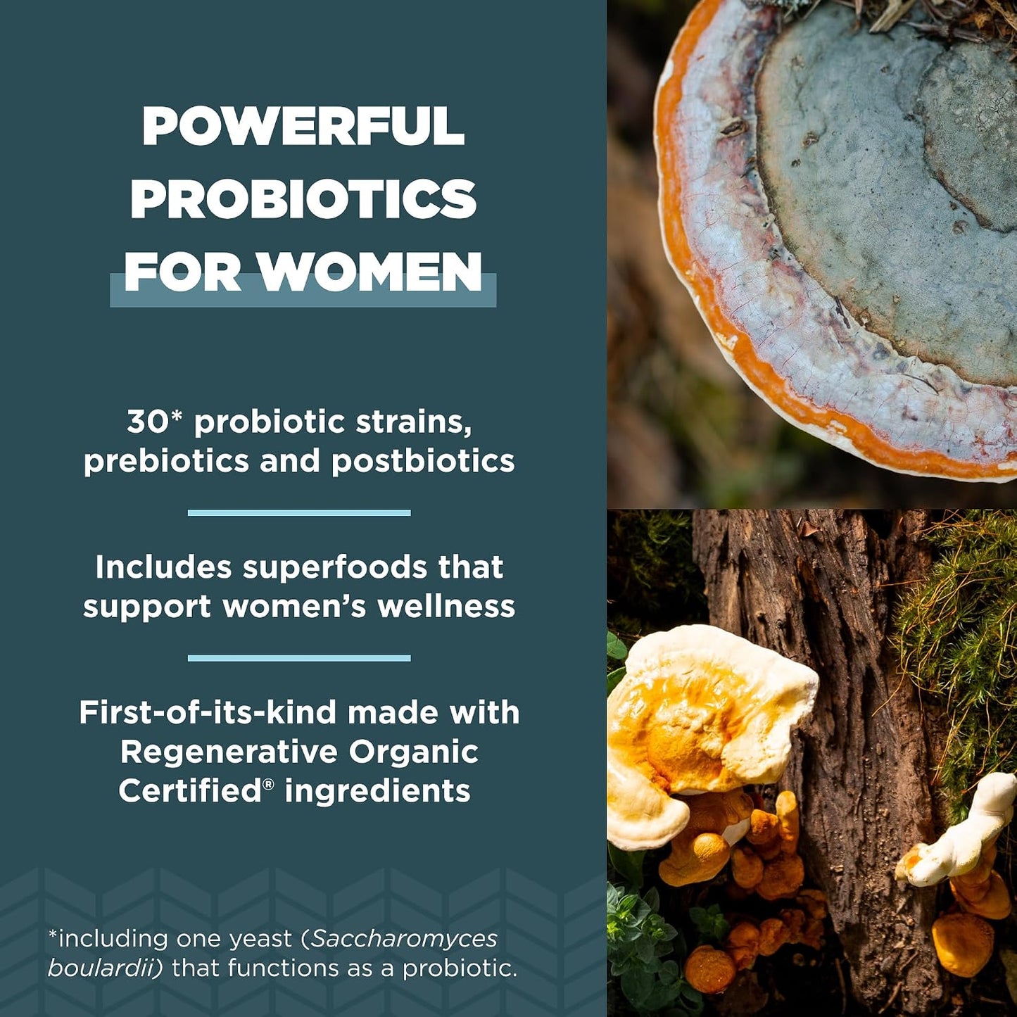 Ancient Nutrition Regenerative Organic Certified Probiotics for Women – Once Daily, 25 Billion CFUs, 30 Capsules - görsel 4