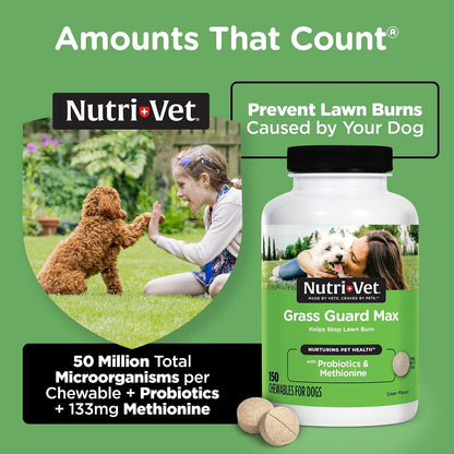 Nutri-Vet Grass Guard Chewables for Dogs, 150 Count