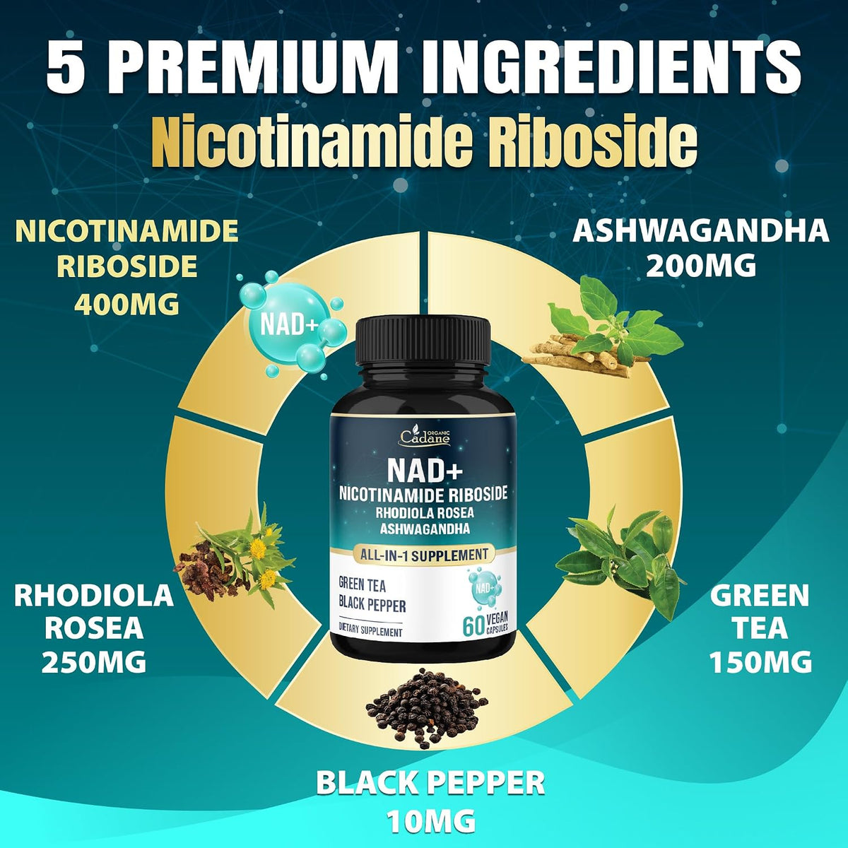 Organic Cadane Nicotinamide Riboside Food Supplement with Rhodiola Rosea, Ashwagandha & Green Tea – 60 Capsules - görsel 3