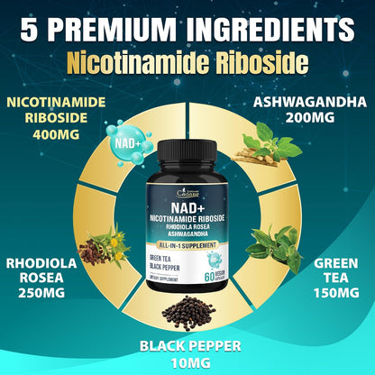 Organic Cadane Nicotinamide Riboside Food Supplement with Rhodiola Rosea, Ashwagandha & Green Tea – 60 Capsules