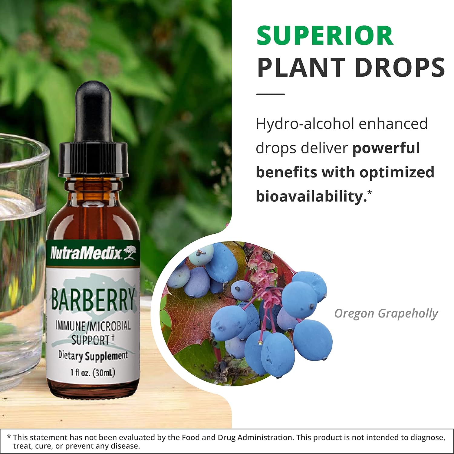 NutraMedix Barberry Liquid Extract - Oregon Grape Root Food Supplement for Immune & Digestive Support, 30 ml - görsel 5