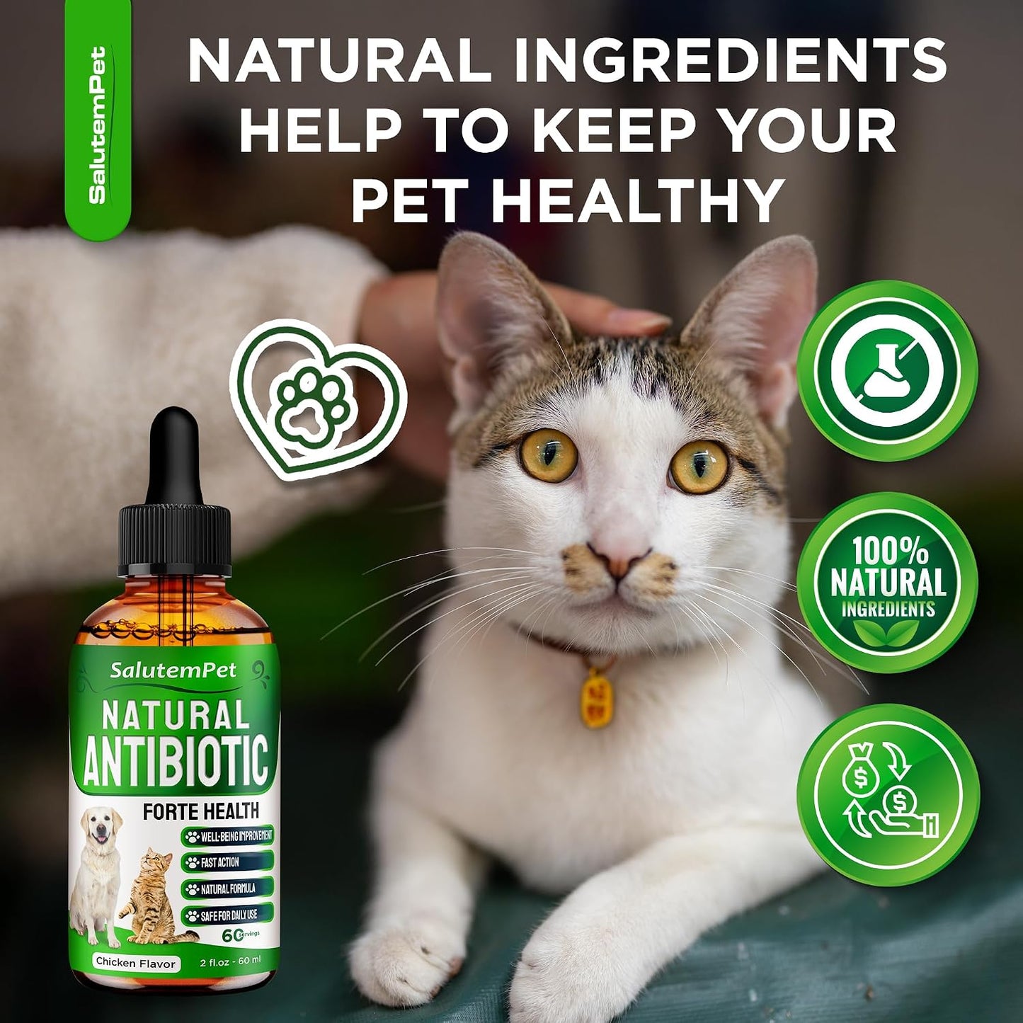 Dog Antibiotics Forte Health – Herbal Supplement for Dogs and Cats - görsel 8