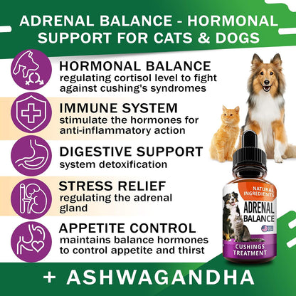 Adrenal Balance for Dogs and Cats - Herbal Adrenal Support Drops with Ashwagandha, Liquorice Root, Rhodiola Rosea, 2 oz