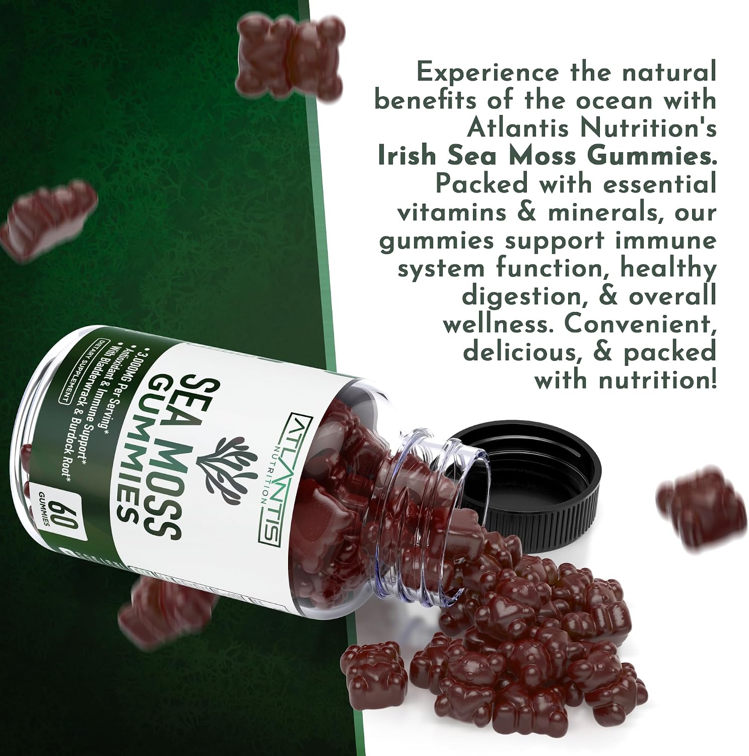 Irish Sea Moss Gummies - 3000mg - Sea Moss, Bladderwrack & Burdock Root - Antioxidant Superfood Supplement, 60 Gummies - görsel 7