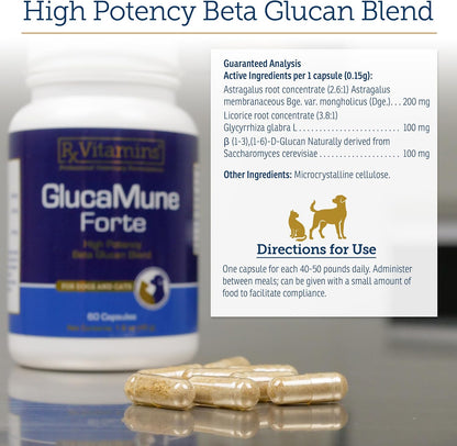 Rx Vitamins GlucaMune Forte - Immune Support Supplement with Beta Glucan for Dogs and Cats - Strengthens Natural Defences for Overall Health - 60ct