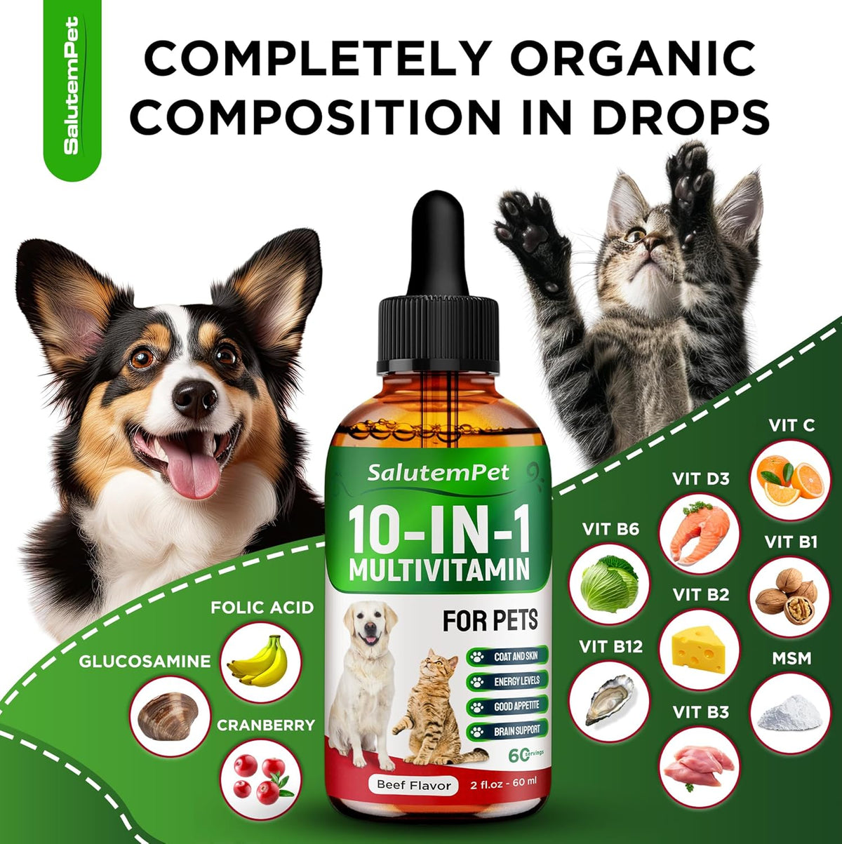 SalutemPet Liquid Multivitamin for Cats and Dogs - 10-in-1 Supplement with Vitamins C, D3, B Complex, Glucosamine, Cranberry - Beef Flavour - 60 ml - görsel 3