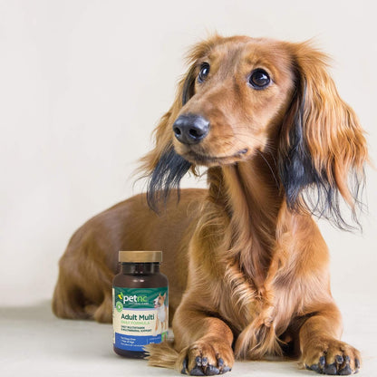 PetNC Adult Multi Chewables for Dogs (75 Tablets) - Daily Multivitamin with Liver Flavour