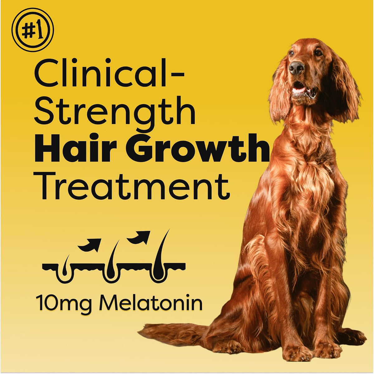 Doc Itchy Rejuvenating Hair-Grower Dog Chews – Rosemary extract: A natural antioxidant that protects skin cells, – Image 3