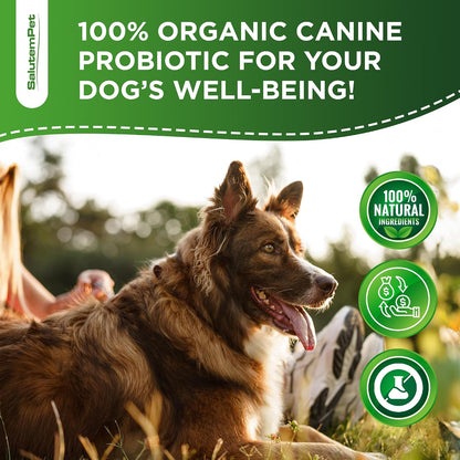 Probiotics for Dogs - Liquid Probiotics with Prebiotics & Digestive Enzymes - Gut Flora Support - Bacon Flavour - 59 ml