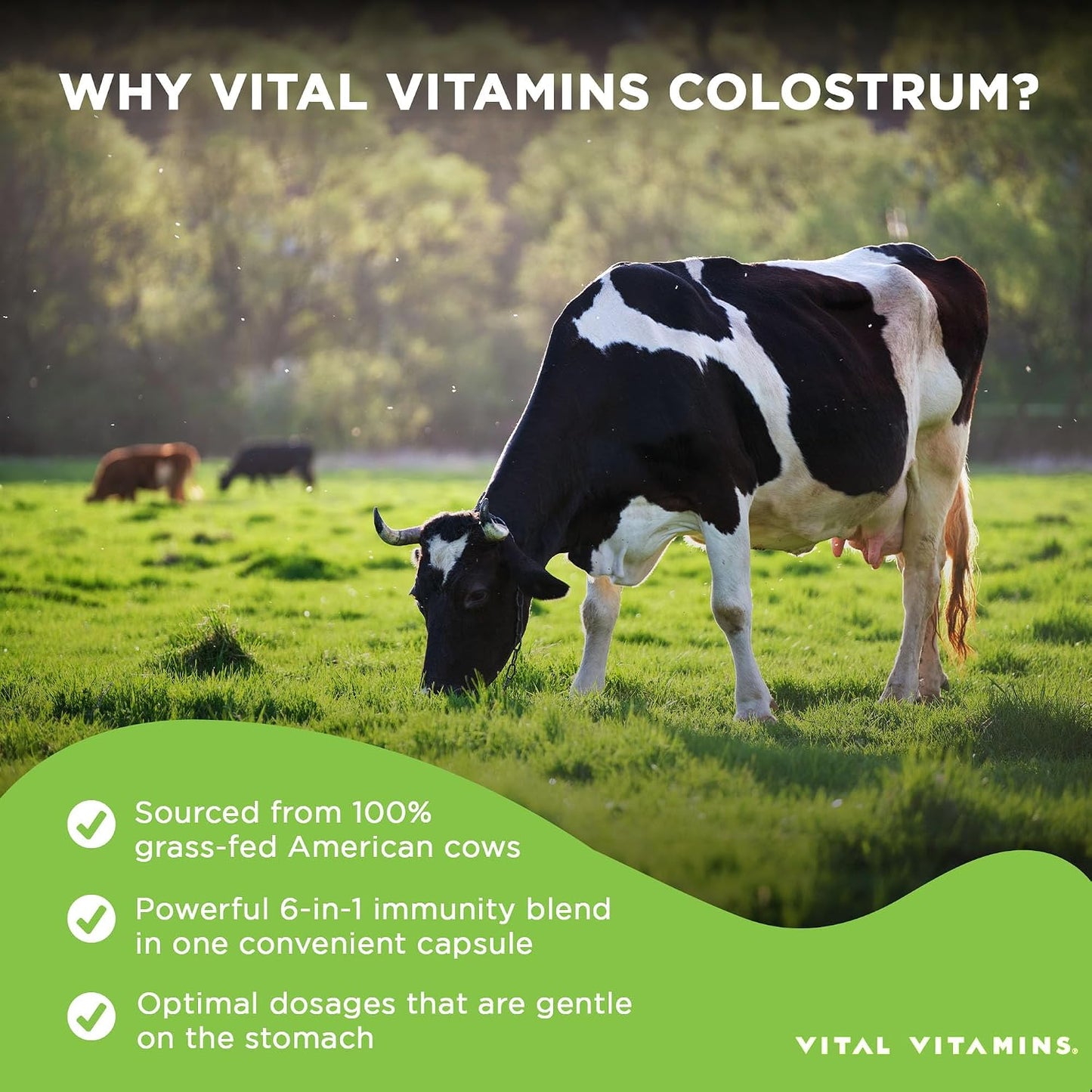 Vital Vitamins Colostrum Supplement - Vitamin C, Zinc & Selenium - Grass-Fed - 60 Capsules - görsel 4