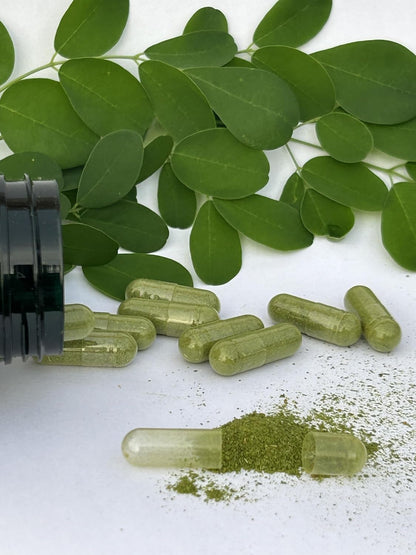 Jamaican Moringa Capsules – with Turmeric & Ginger – 90 Capsules, 500mg – Herbal Supplement