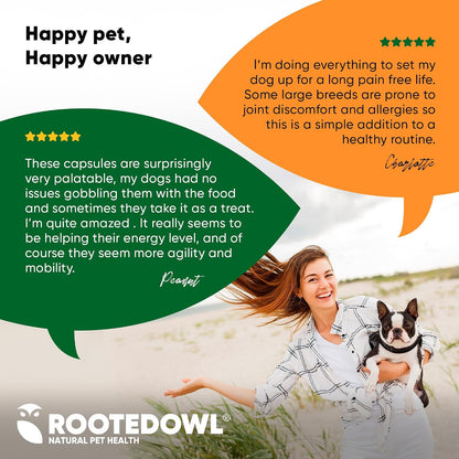 Rooted Owl Turmeric for Dogs & Cats - Curcumin Supplement with Piperine and Vitamin C, 60 Vegan Capsules
