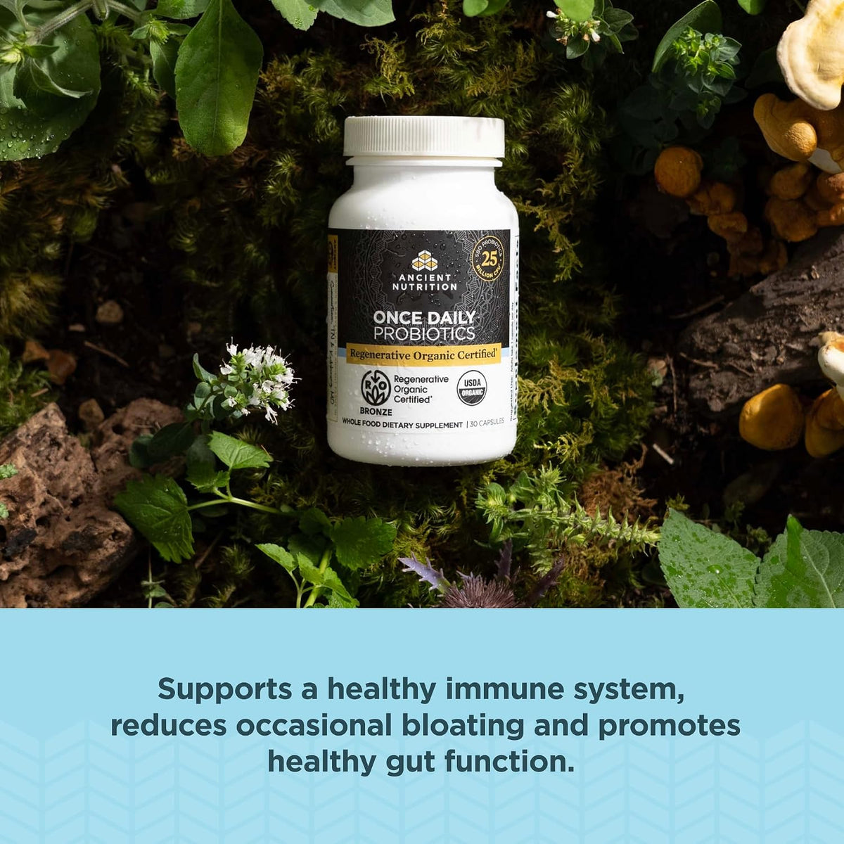 Ancient Nutrition Regenerative Organic Certified Probiotics, Daily Probiotics Once Daily, Healthy Digestion and Gut Health Support, 25 Billion CFUs Per Serving, 30 Count - görsel 3