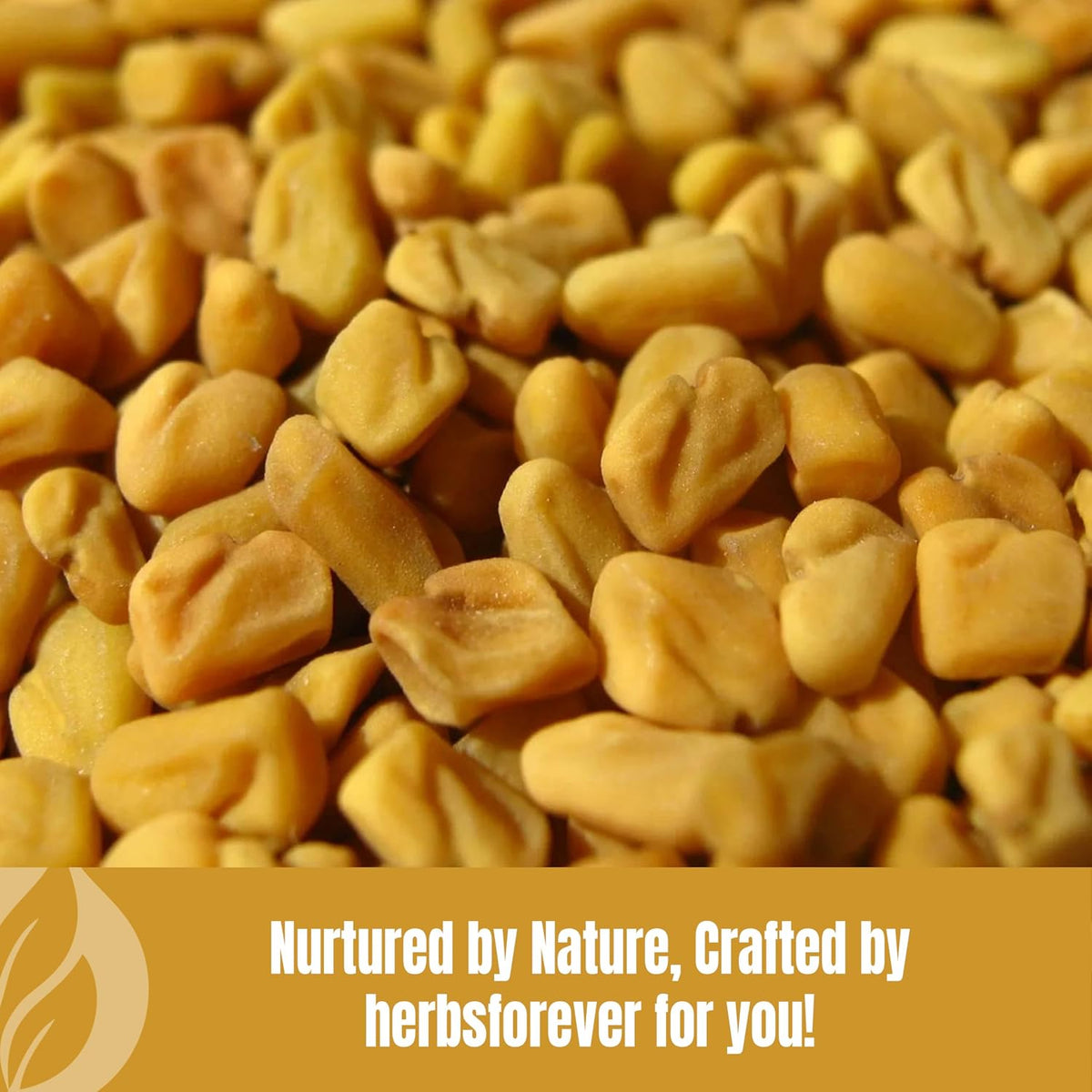 HerbsForever Fenugreek Powder (Seeds) - 230g - görsel 7