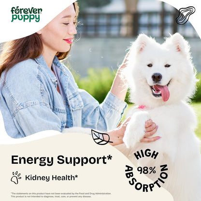 Cordyceps Mushroom Tincture for Dogs – Energy Support Supplement with Cordyceps Sinensis Extract for Kidney Cleanse – Mushroom Drops for Dogs' Canine Kidney Health Support – 60 ml