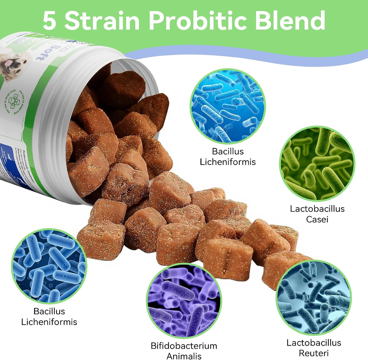 Woooha Probiotics for Dogs – 6 Billion CFU Prebiotics & Digestive Enzymes, 100 Chews - görsel 3