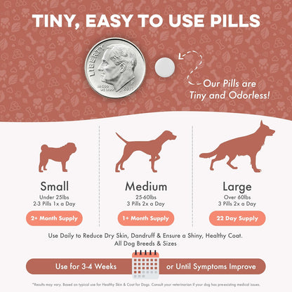 Natural Dog Skin and Coat Supplement – Gentle Itch Relief & Shedding Support – 400 Tiny Odourless Pills