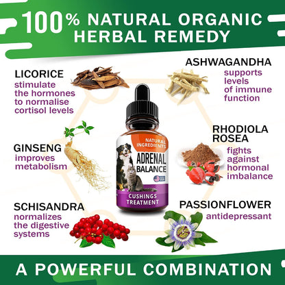 Adrenal Balance for Dogs and Cats - Herbal Adrenal Support Drops with Ashwagandha, Liquorice Root, Rhodiola Rosea, 2 oz
