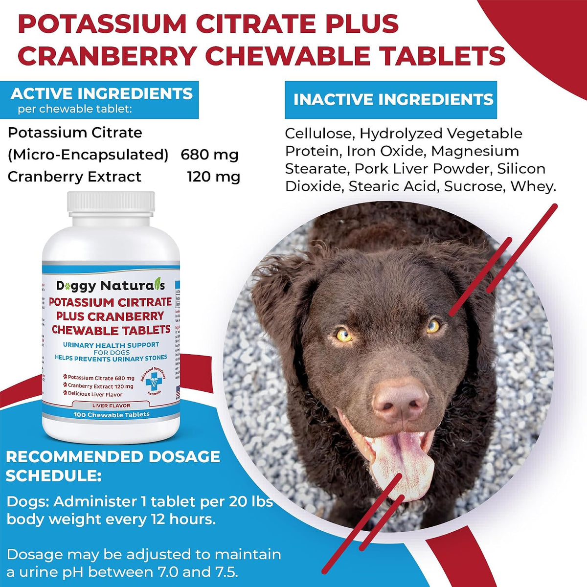 Potassium Citrate Plus Cranberry Supplement for Dogs (100 Tablets) – Urinary Tract Support – Helps Deter Formation of Calcium Oxalate Stones – Deters Bladder & Kidney Stones (Made in the USA) - görsel 2