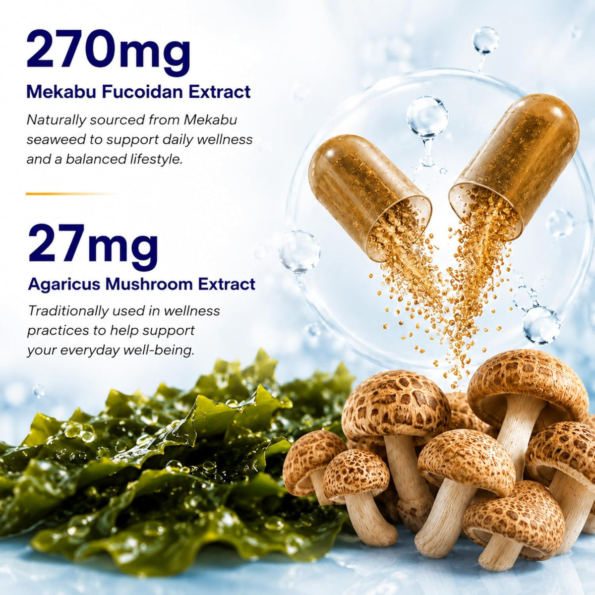FINE JAPAN Fucoidan Capsules with Mekabu Seaweed and Agaricus Mushroom - 30 Capsules - Immune Support Supplement - görsel 4